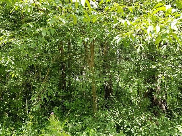 2nd image of 8570 Dingman Rd
