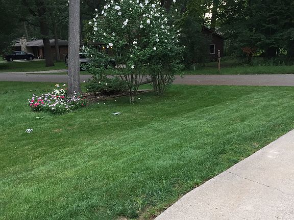 Side Yard