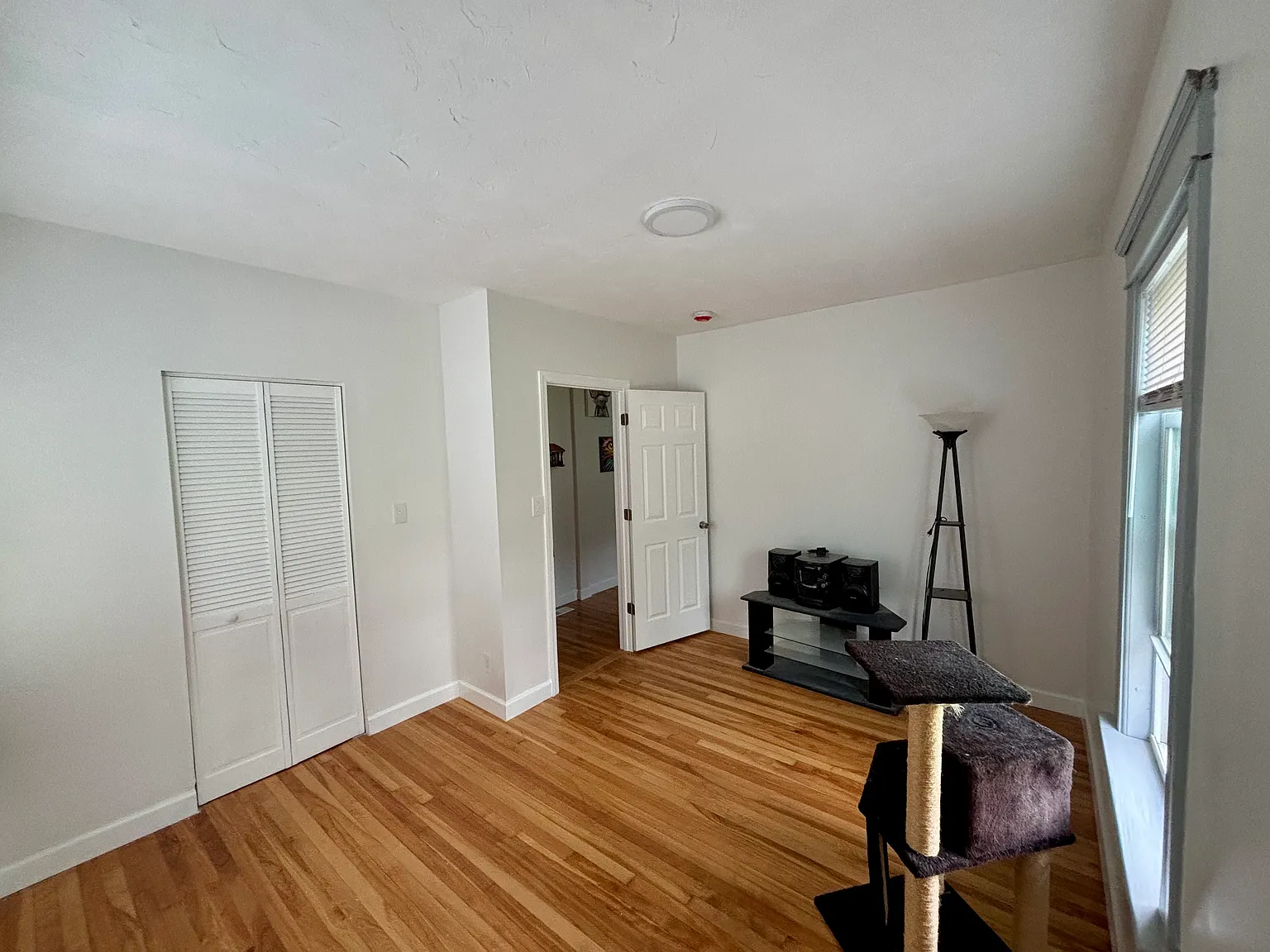 8 Enid St — Photo 4