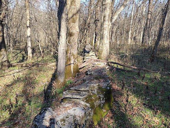 5th image of 980 Baldy Ford Rd Lot 5