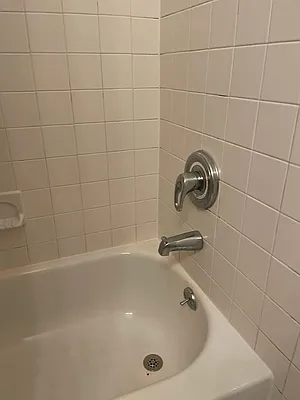 Rented by Manhattan Flats | media 7