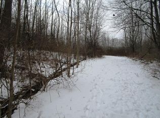 Grassy Rd, Blenheim, NY 12194