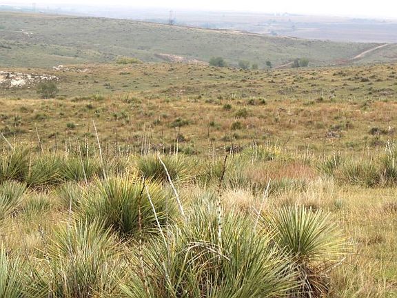 3rd image of 0 Co Rd