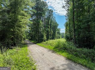 497T04 River Rd, Dry Branch, GA 31020