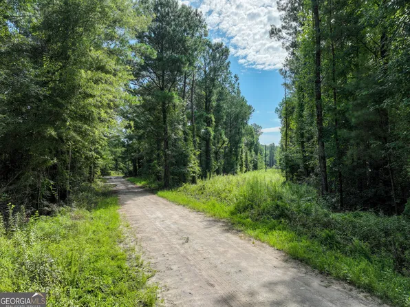 497T04 River Rd, Dry Branch, GA 31020