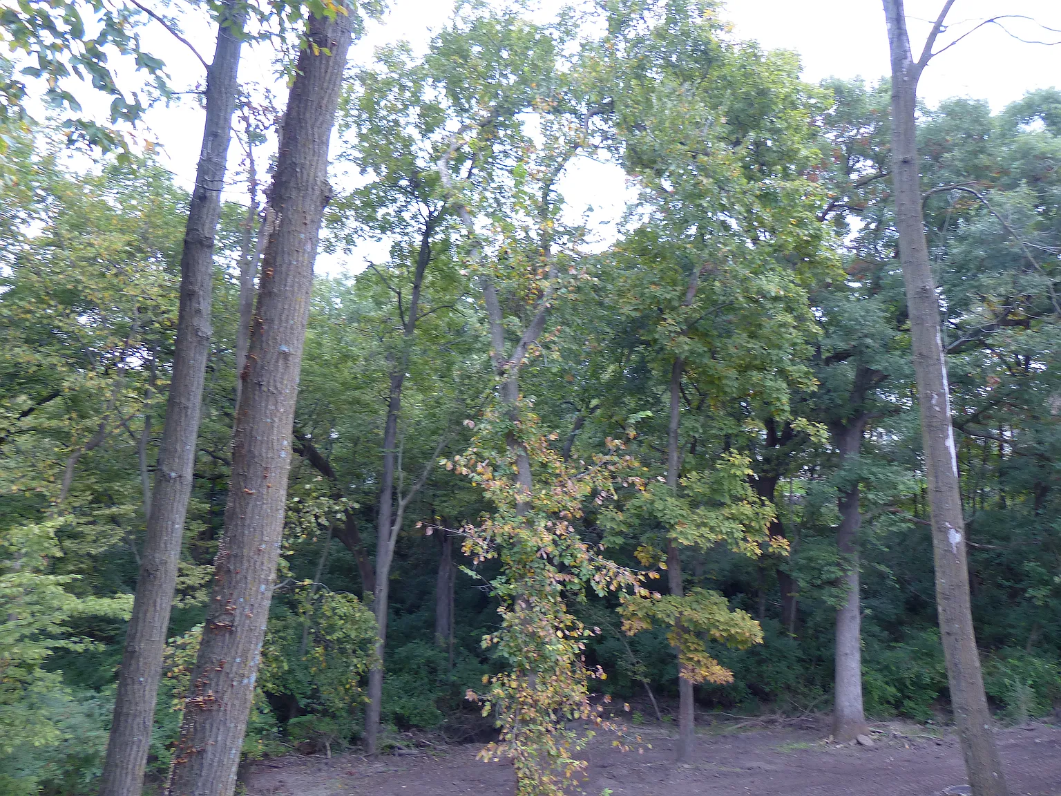 4 bed, 2500 sqft, $3,199 — Photo 2