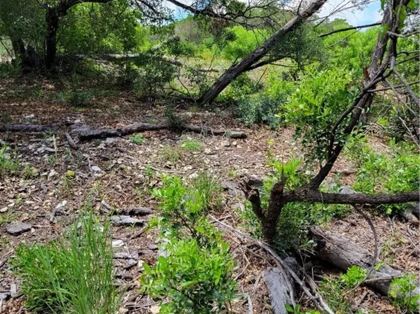 LOT 315 Private Road 1745 Rd, Mico, TX 78056