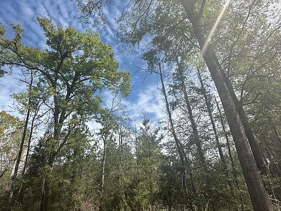 4th image of Stamps Rd