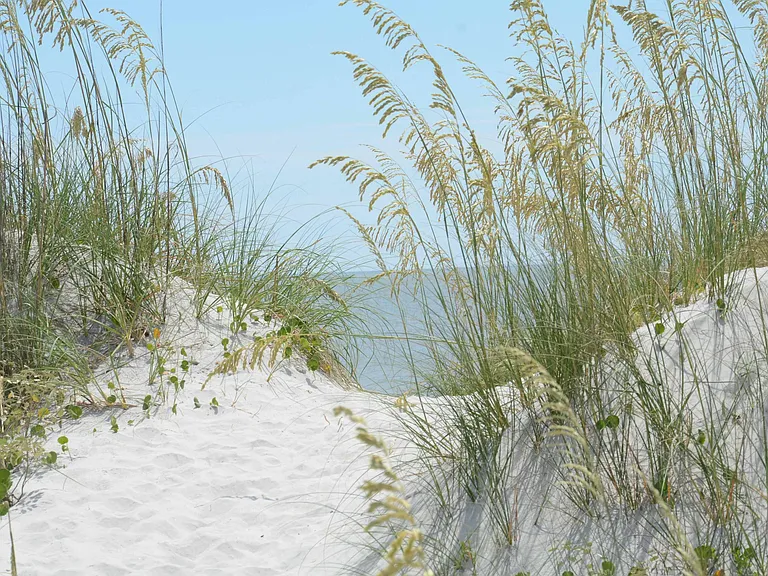 704 Ocean Front — Photo 41