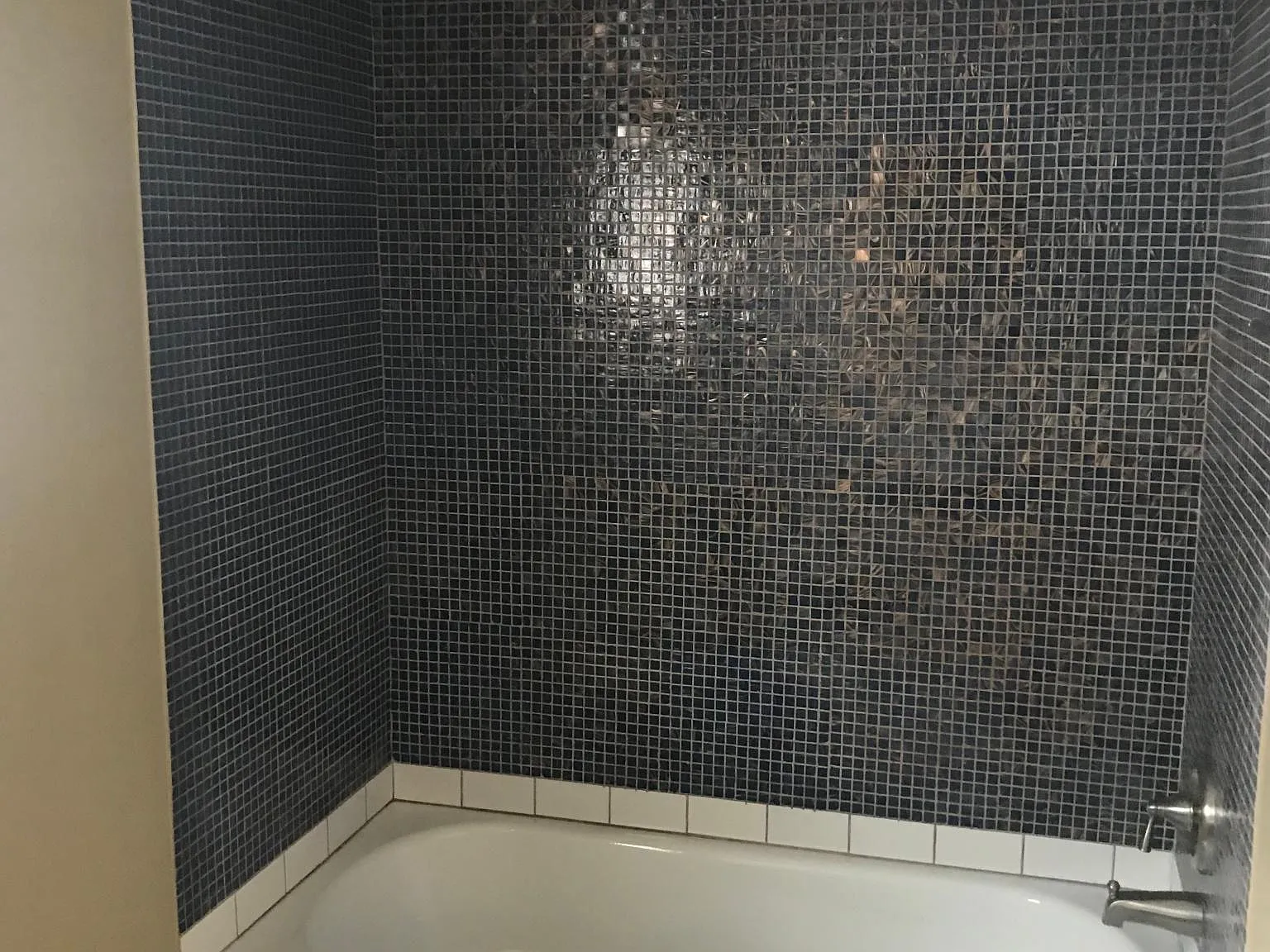 1 bed, 600 sqft, $1,390 — Photo 4