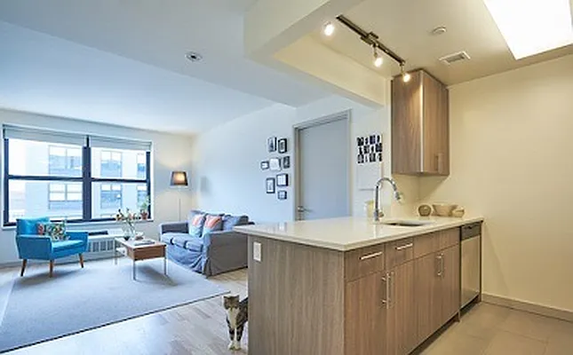 Rented by Domain Companies | media 17