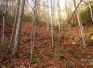 Rector Branch Rd #4, Marshall, NC 28753