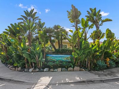 763 Snapdragon St, Encinitas, CA, 92024