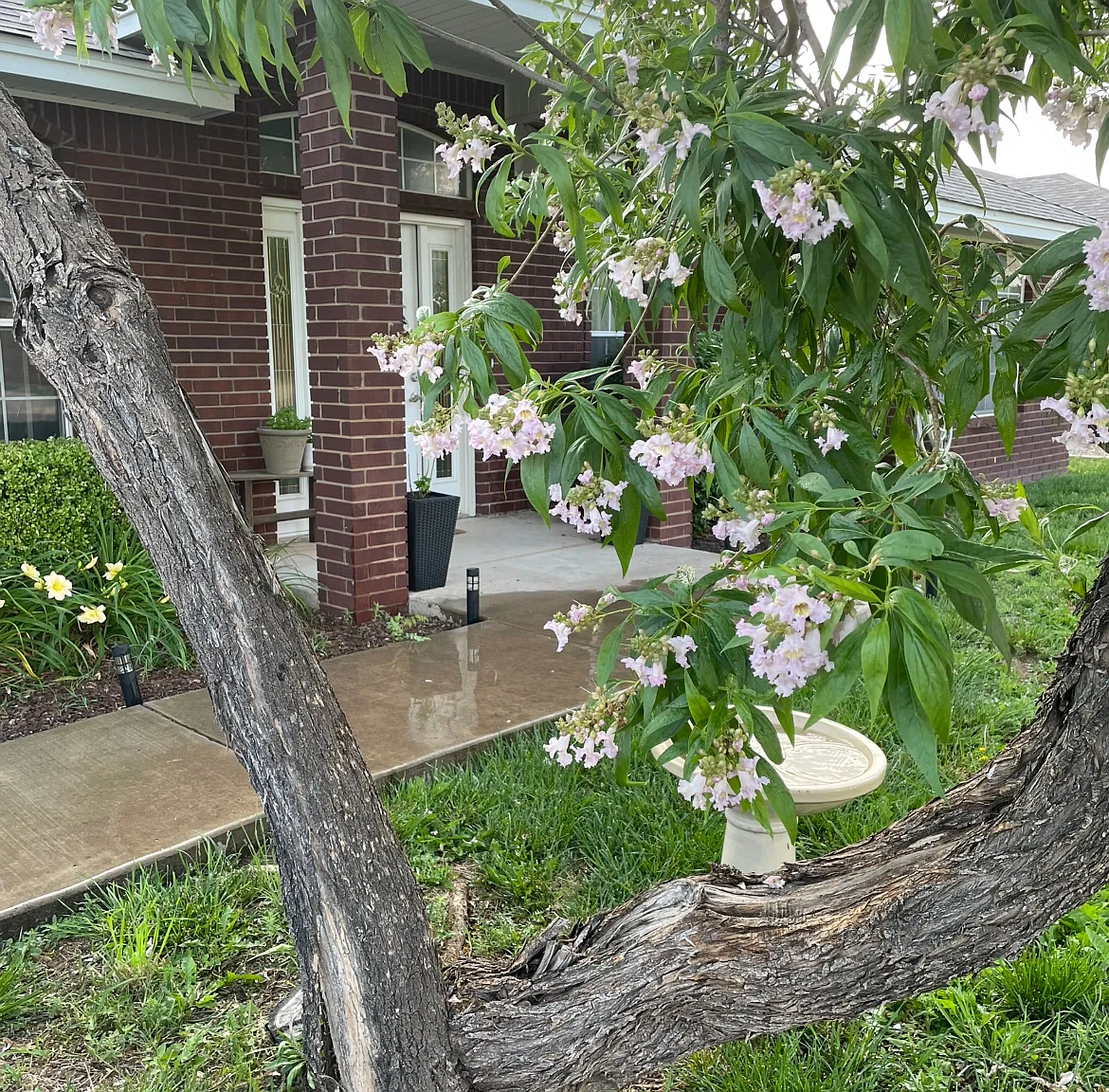 1820 Arbor Dr — Photo 4