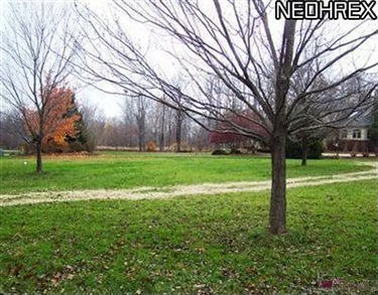 Thumbnail 15