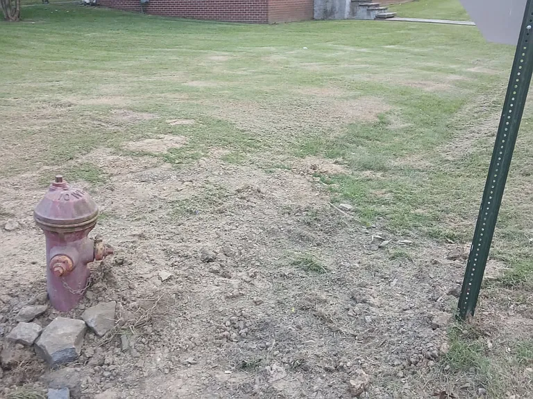 Corner home, with drainage near street (please water grass consistently to get back healthy)