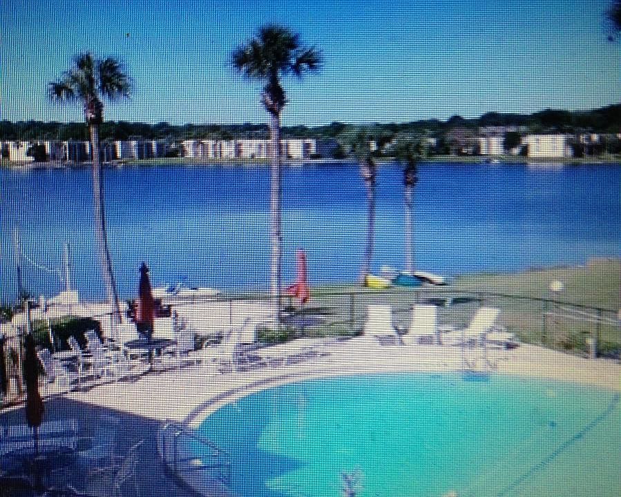 pool and lake