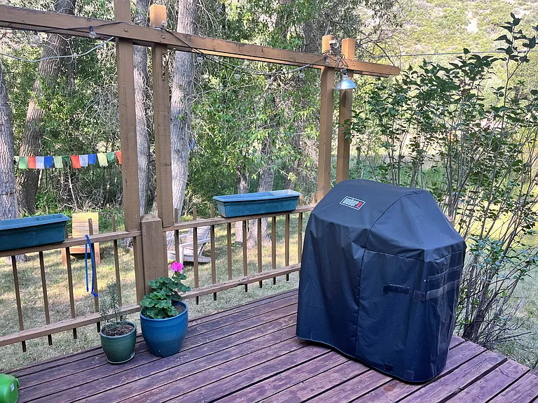 back porch and side yard
