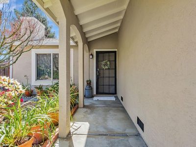 23185 Maud Ave, Hayward, CA, 94541