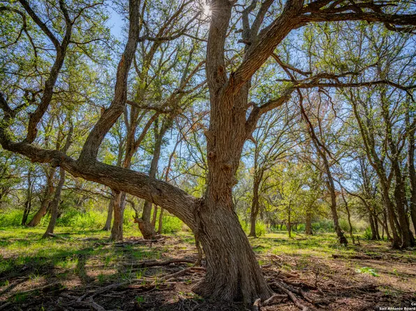 0 SH 16, San Saba, TX 76877