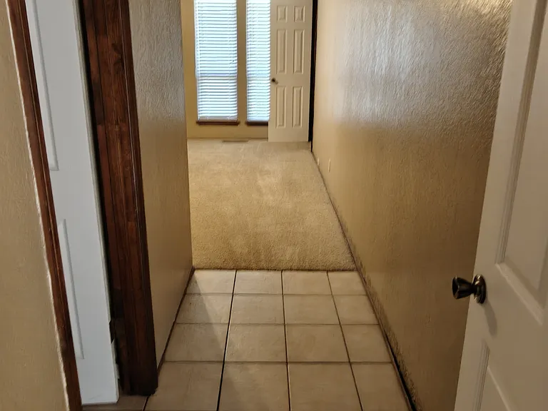 4433 Brandt Dr — Photo 14