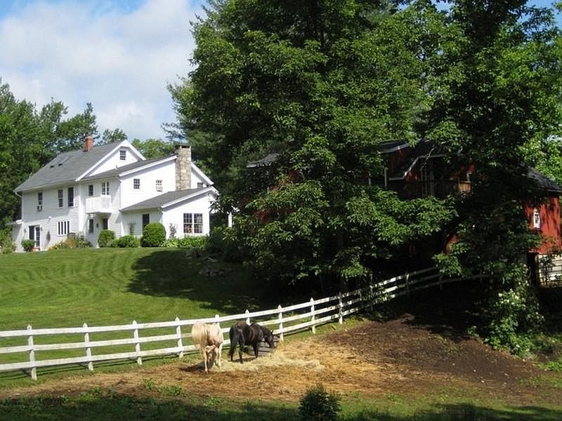house with horses