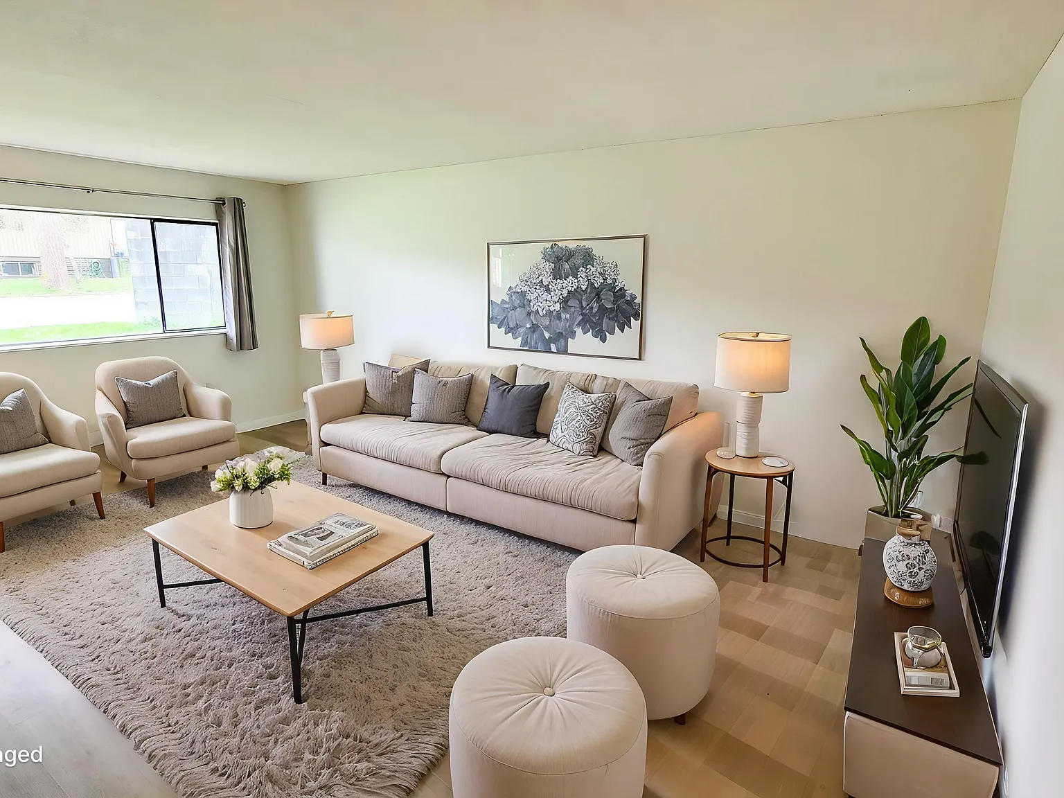 Pinetree Apartments — Photo 2