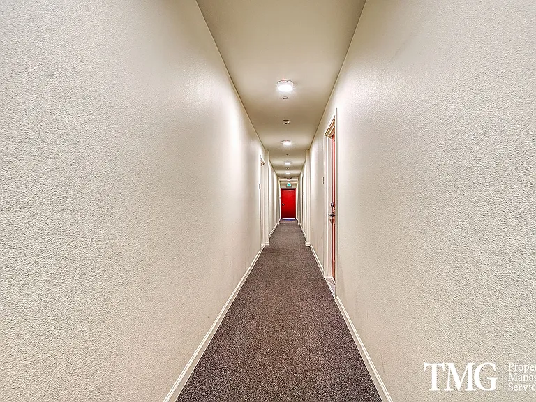 The Carter Apartments — Photo 7
