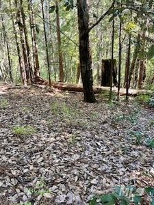 388 Moonraker Road, The Sea Ranch, CA, 95497