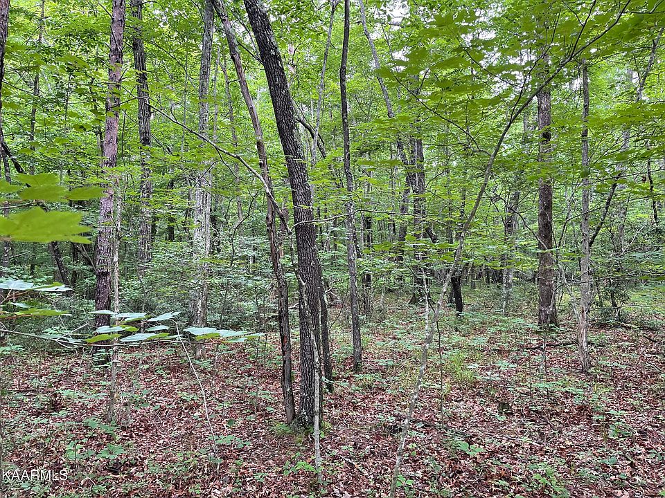 2nd image of LOT 16 E Overlook Rd #5