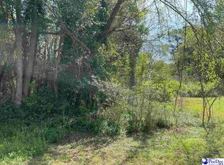 2/LOT Hurst Ave, Chesterfield, SC 29709
