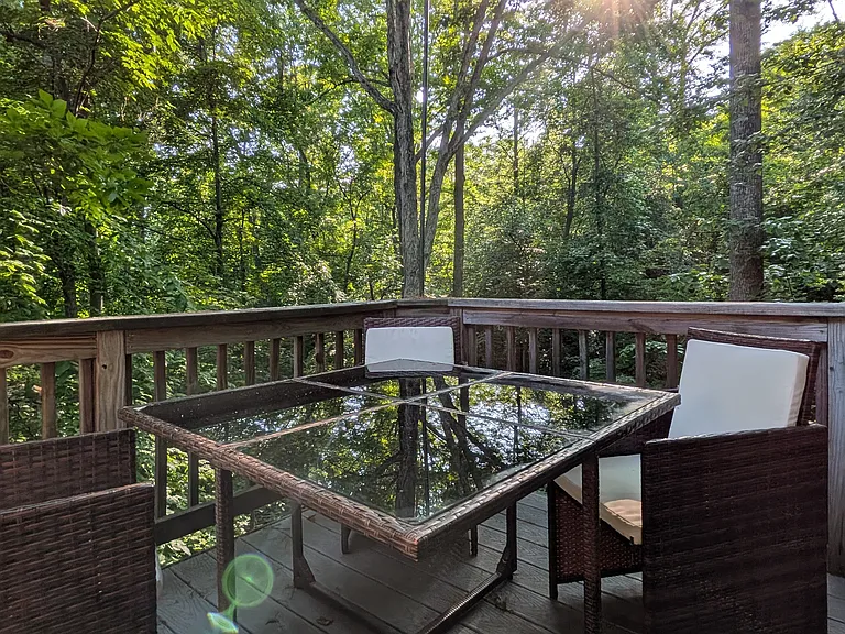 14906 Laurel Point Ln — Photo 9
