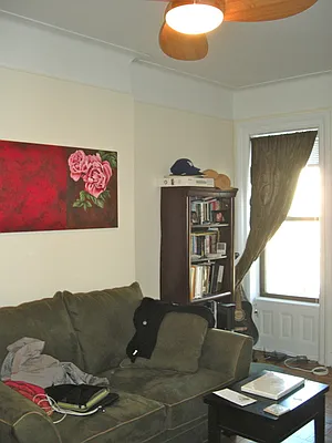 Rented by Rapid Realty Cobble Hill | media 28