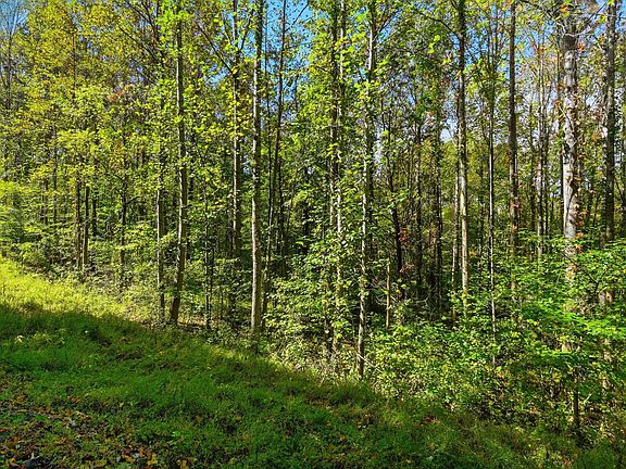 3rd image of 0 Timber Lake Dr Lot 2