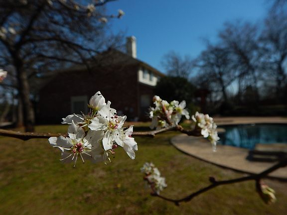5th image of 1701 Katherine Ct
