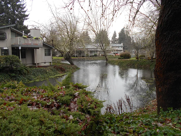 The community is called Coffee Creek Condominiums. There really is a creek!