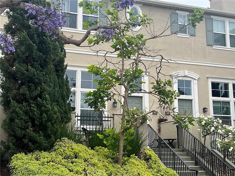 42 Fringe Tree — Photo 1