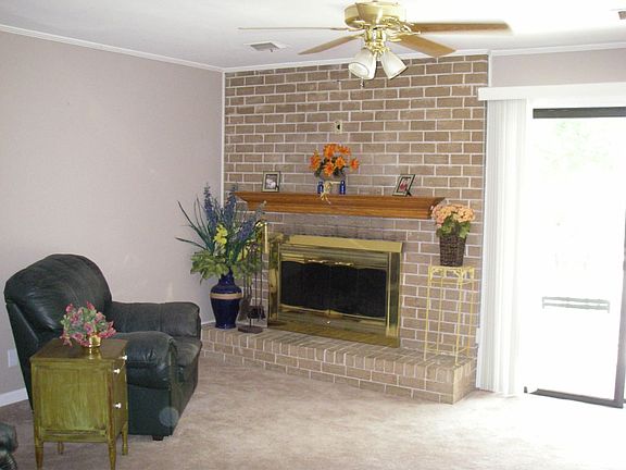 Woodburning Fireplace