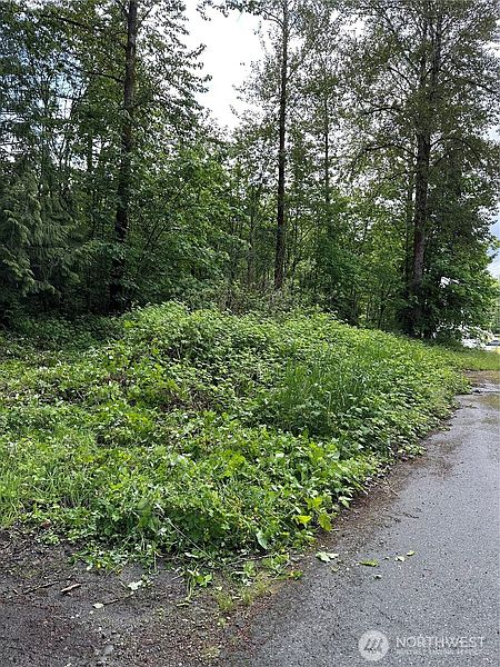 4th image of 131 XX SE 312th Street