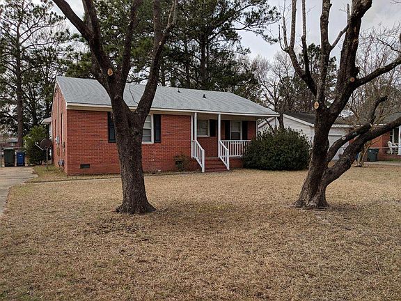 dogwood trees (winter)