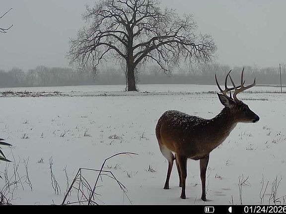 3rd image of (Undisclosed Address)