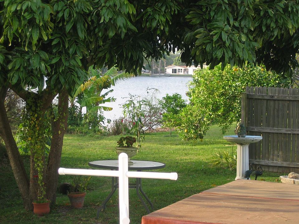 Back View