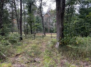 PARCEL Michway St #B, Baldwin, MI 49304