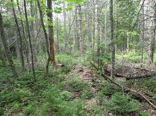 2nd image of Lot 35 Settlers Drive