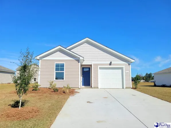 560 Strawberry Field Way, Galivants Ferry, SC 29544