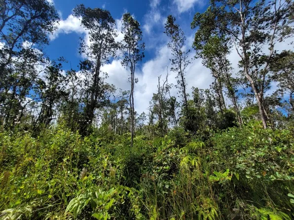 11-3004 Kaleponi Rd Lot 20, Volcano, HI 96785