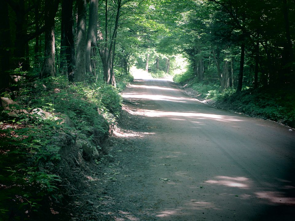 1st image of 1167 Wagner Road