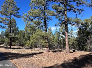 4500 W Fox Glove Ln #32, Show Low, AZ 85901