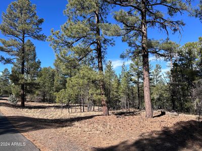 4500 W FOX GLOVE Lane #32, Show Low, AZ, 85901