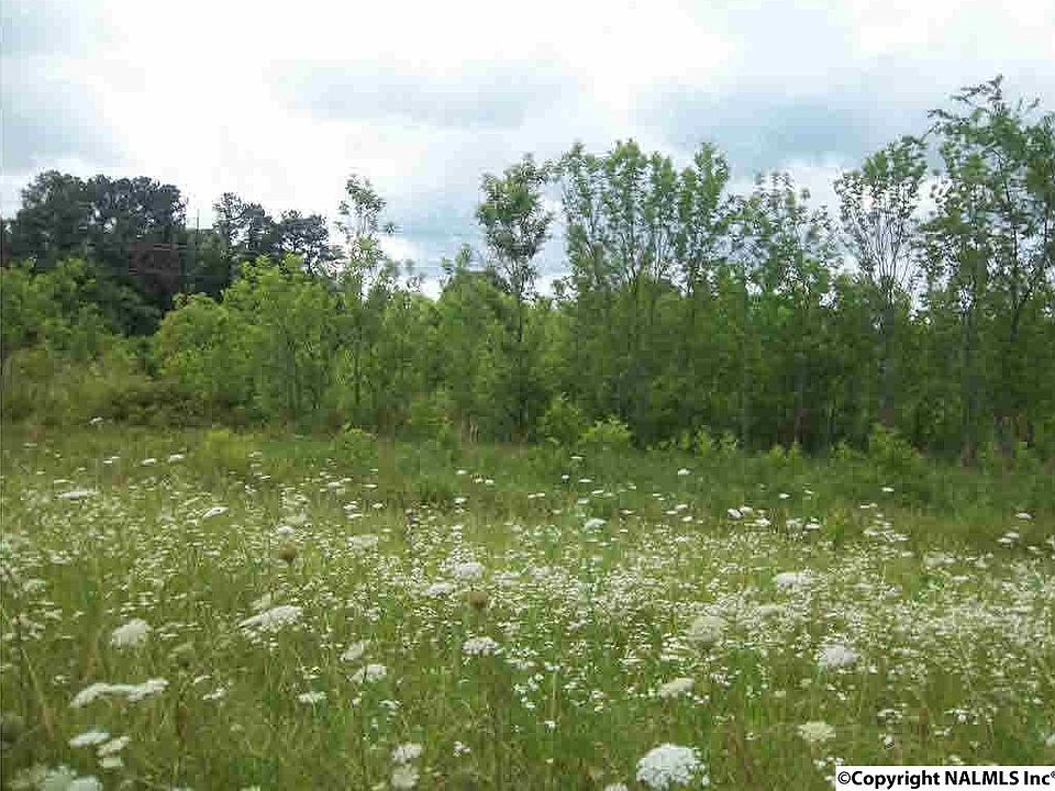 1st image of 24 State Hwy